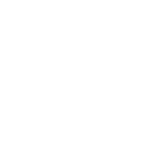 logo-loyola-import-and-export-brazil-worl-white